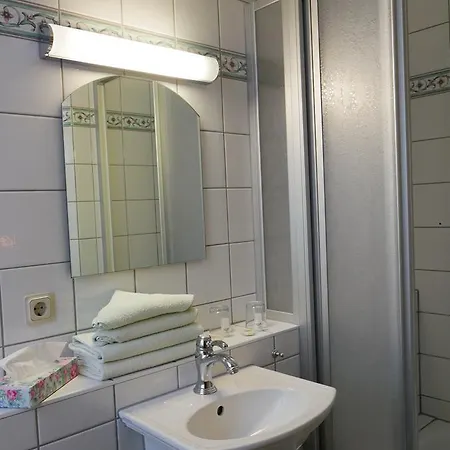 Hotel Zur Grunen Erle 3*