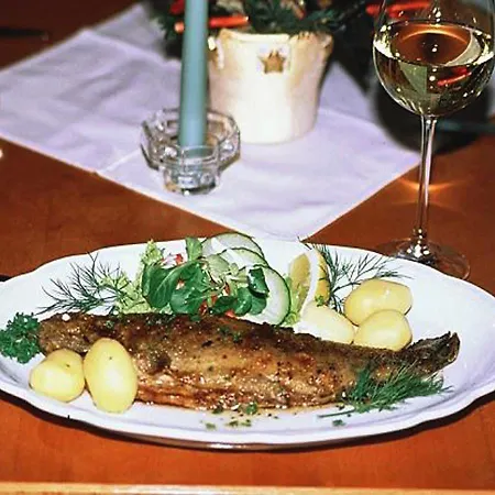 Hotel Zur Grunen Erle Erlau (St. Kilian)